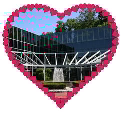 Pi-Dental-Skilled-And-Heartfelt.jpg Pi-Dental-Skilled-And-Heartfelt.jpg